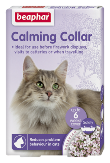 Calming Collar for Cat